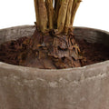 UTTERMOST ZAMIA PALM ACCENT - Decorative Accents
