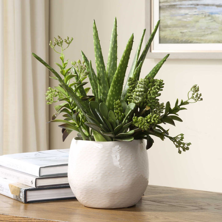 UTTERMOST Sundown Succulent Accent Planter - Decorative Accents