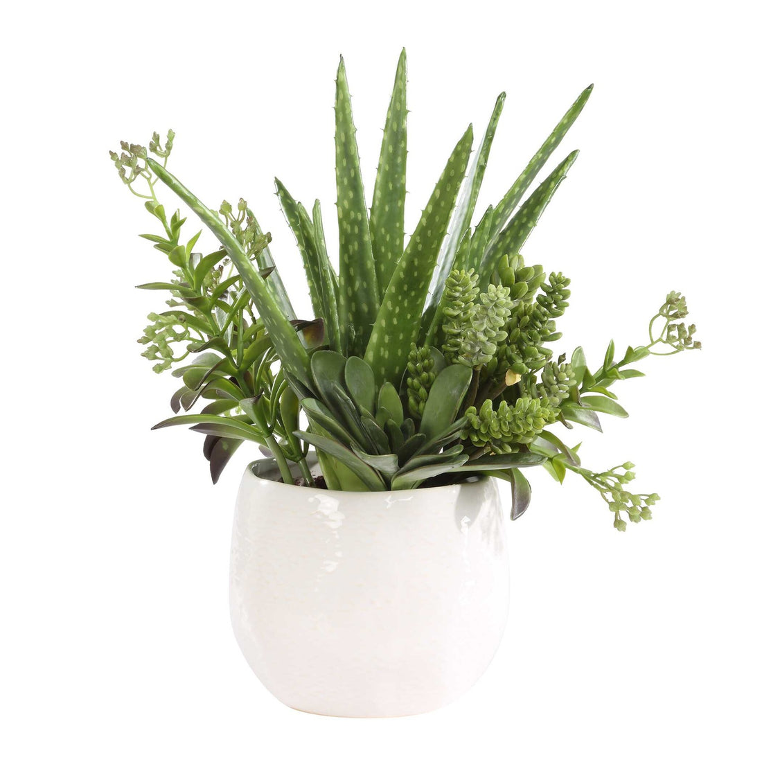 UTTERMOST Sundown Succulent Accent Planter - Decorative Accents