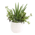 UTTERMOST Sundown Succulent Accent Planter - Decorative Accents