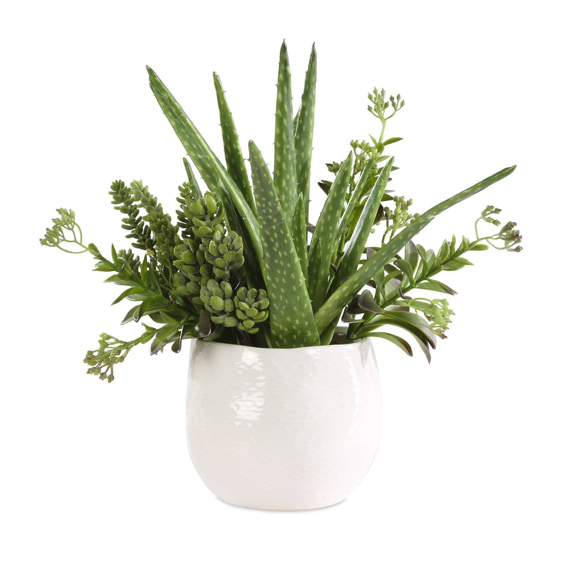 UTTERMOST Sundown Succulent Accent Planter - Decorative Accents