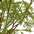 UTTERMOST Woodland Fern Centerpiece - Decorative Accents