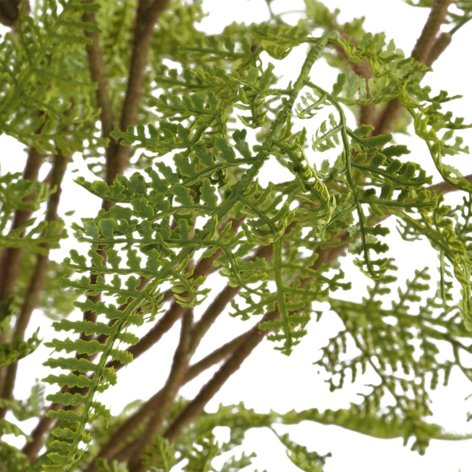 UTTERMOST Woodland Fern Centerpiece - Decorative Accents