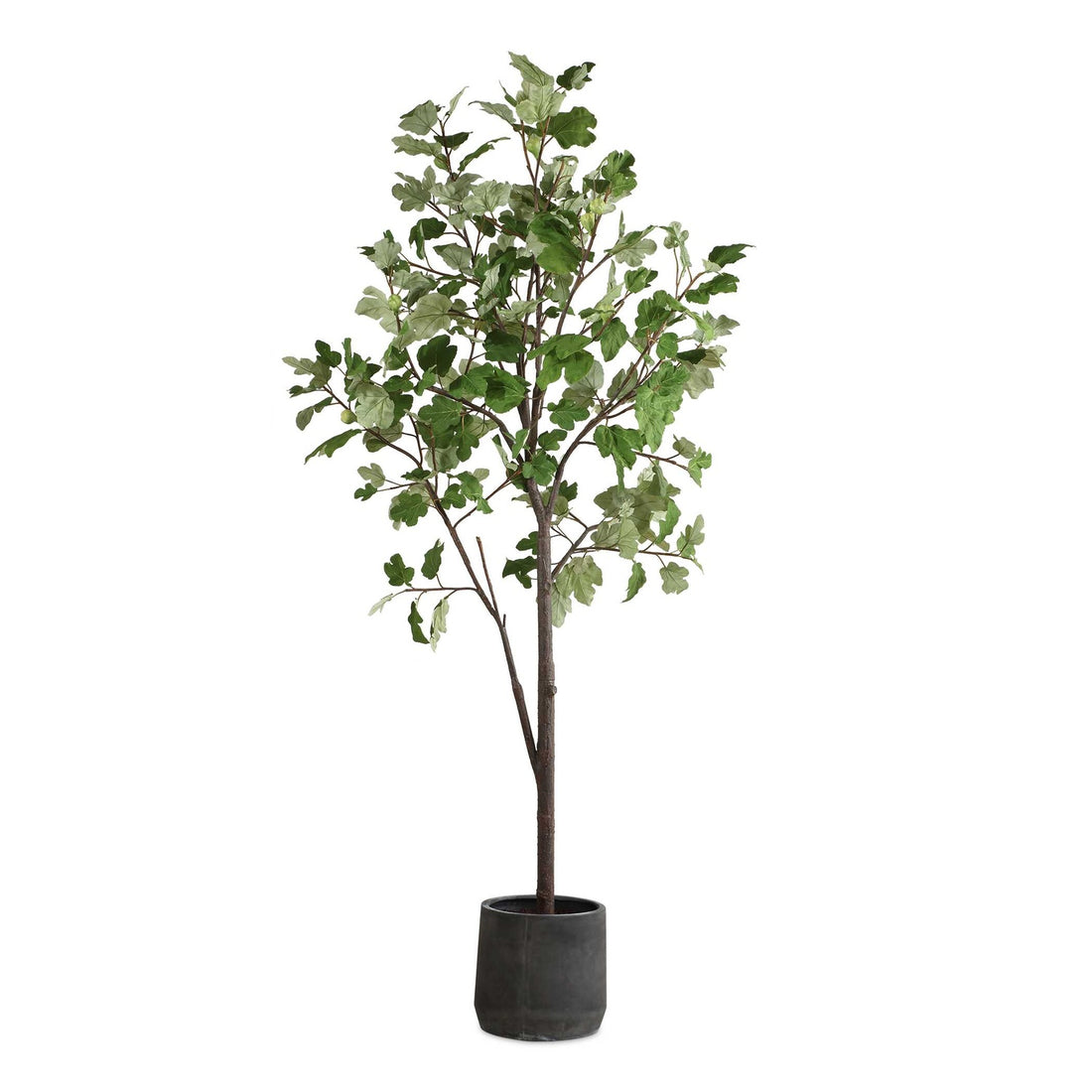 UTTERMOST Eden Potted Fig Tree - Decorative Accents