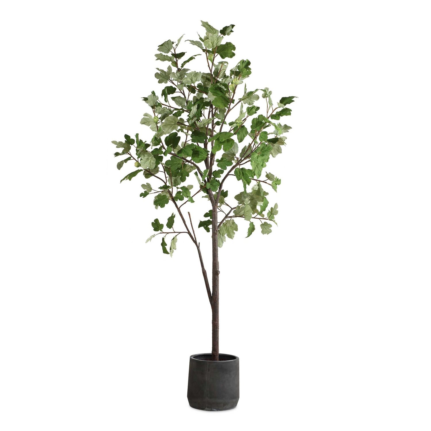 UTTERMOST Eden Potted Fig Tree - Decorative Accents