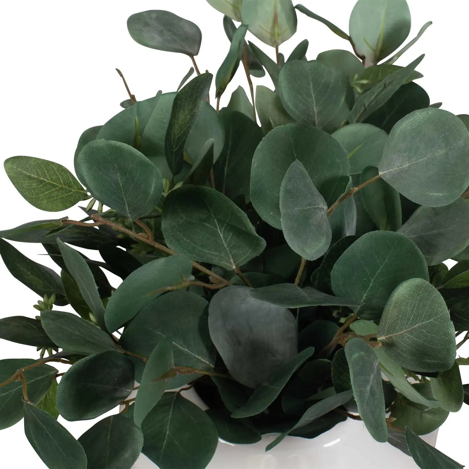 UTTERMOST Essence Eucalyptus Accent & Vase - Decorative Accents