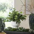 UTTERMOST Essence Eucalyptus Accent & Vase - Decorative Accents
