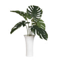 UTTERMOST Muse Monstera Vase Centerpiece - Decorative Accents