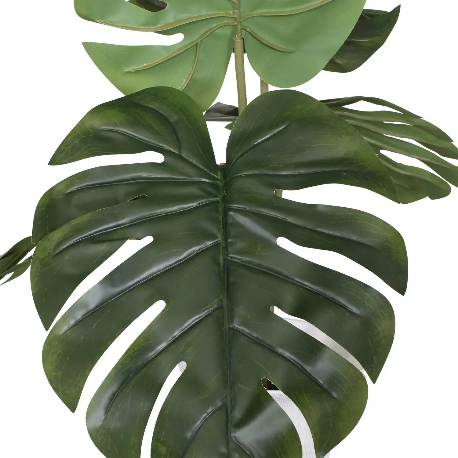 UTTERMOST MUSE MONSTERA VASE CENTERPIECE - Decorative Accents