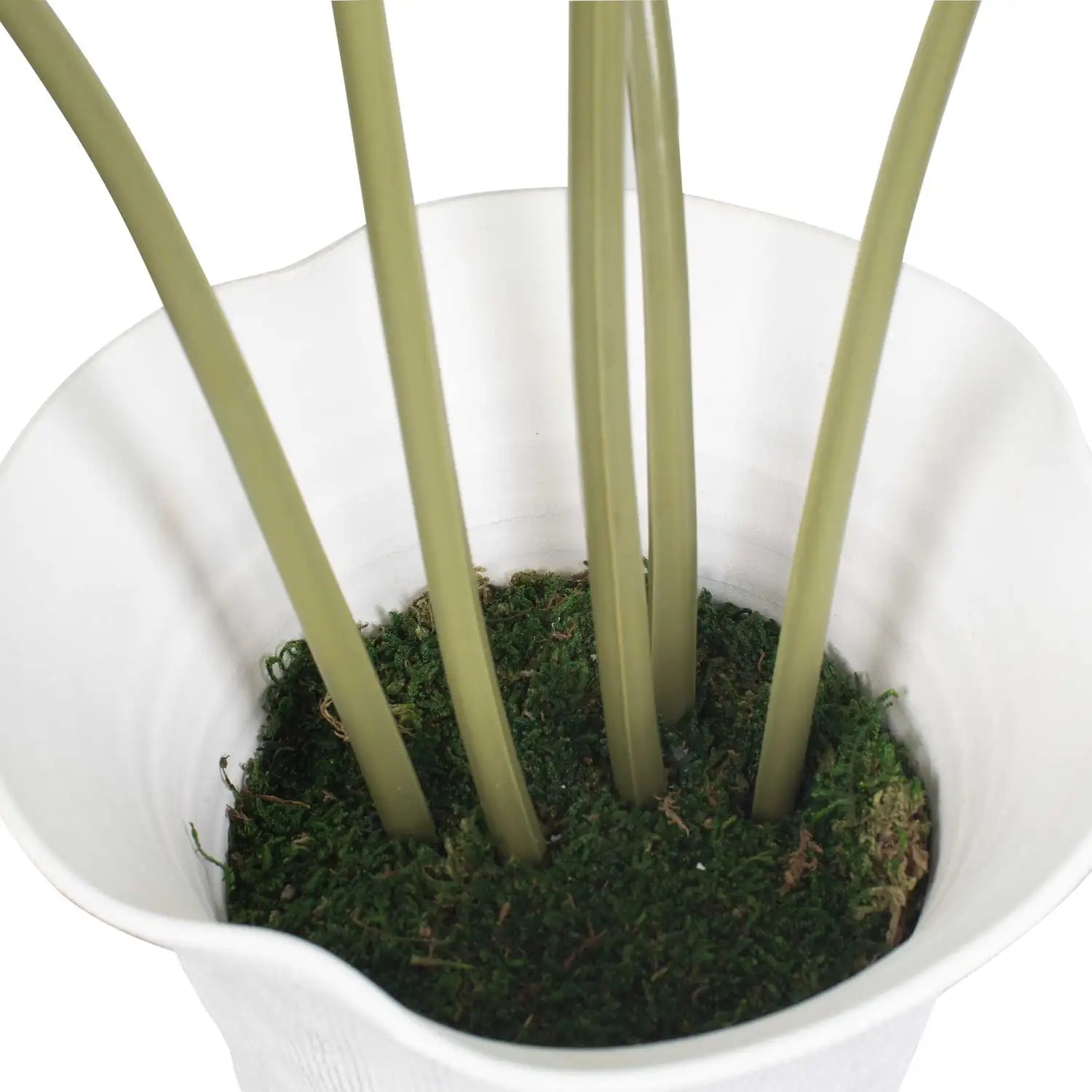 UTTERMOST Muse Monstera Vase Centerpiece - Decorative Accents