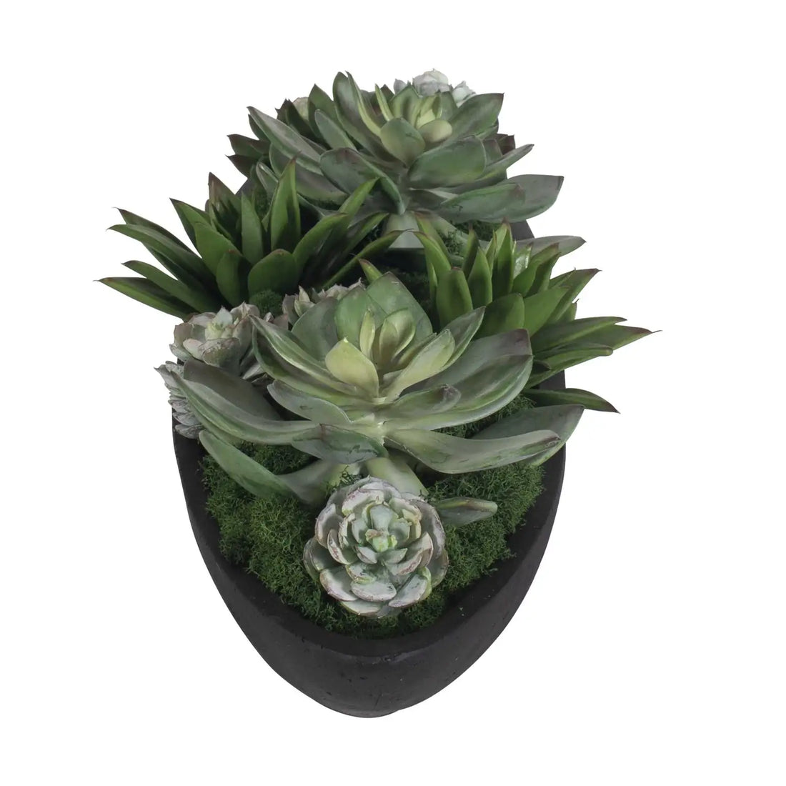 UTTERMOST Verde Succulent Centerpiece - Decorative Accents