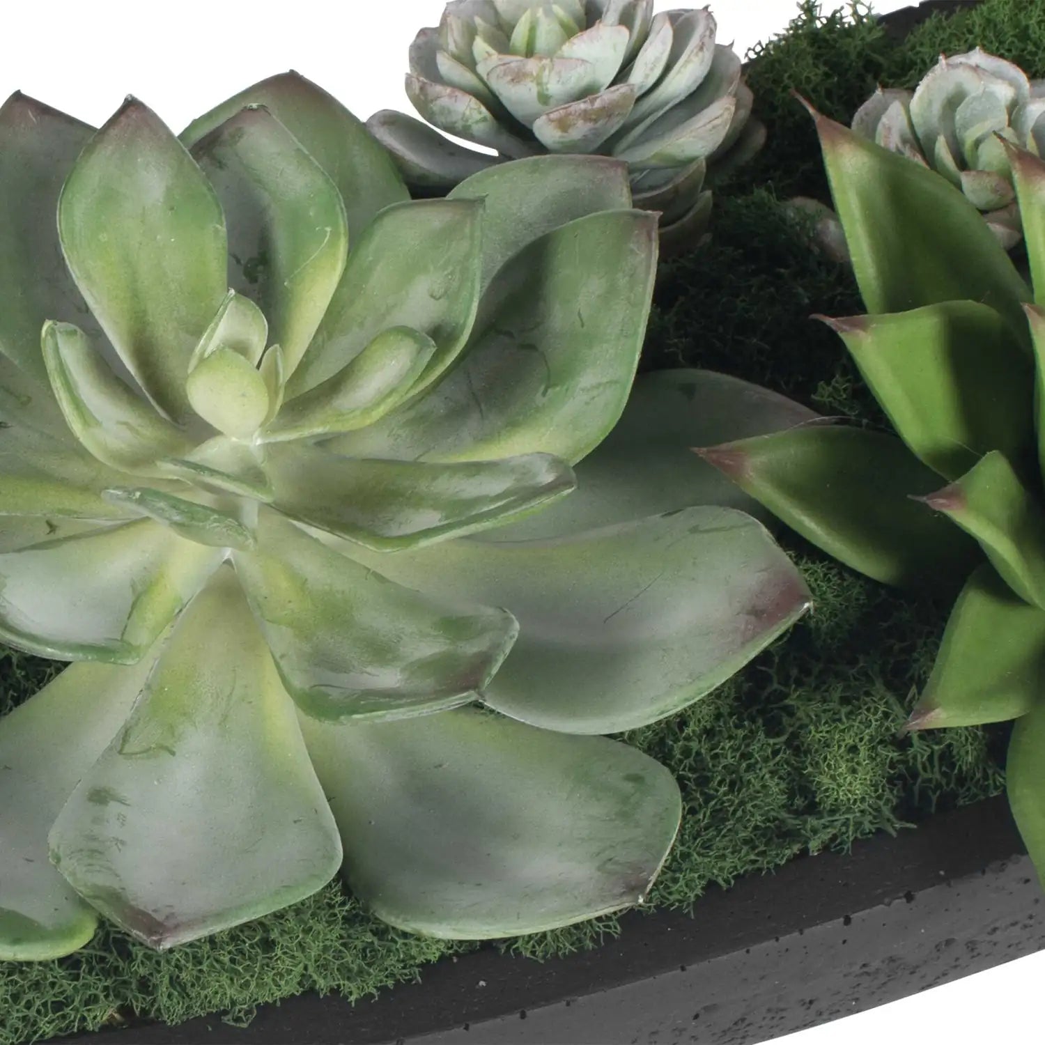 UTTERMOST VERDE SUCCULENT CENTERPIECE - Decorative Accents