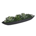 UTTERMOST VERDE SUCCULENT CENTERPIECE - Decorative Accents
