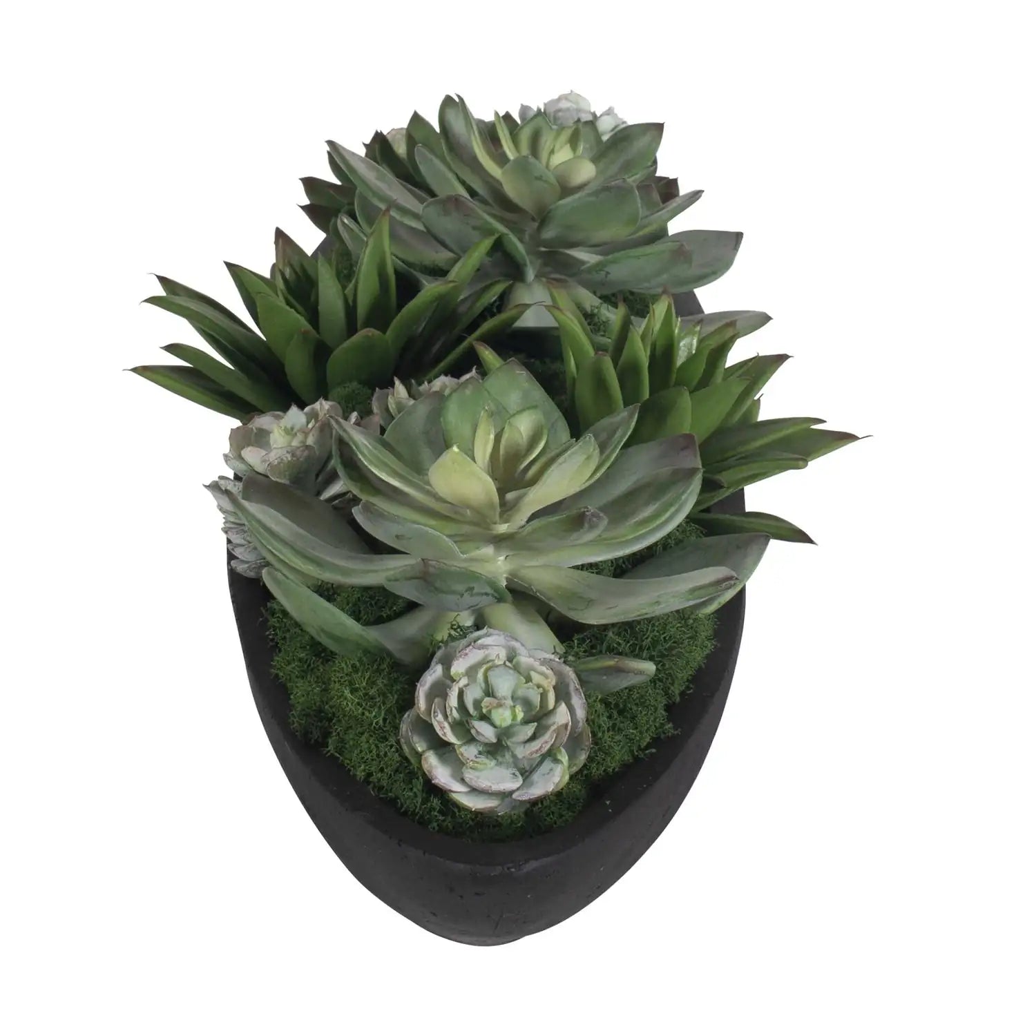 UTTERMOST VERDE SUCCULENT CENTERPIECE - Decorative Accents
