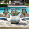 UTTERMOST Dudleya Outdoor Succulent - Decorative Accents