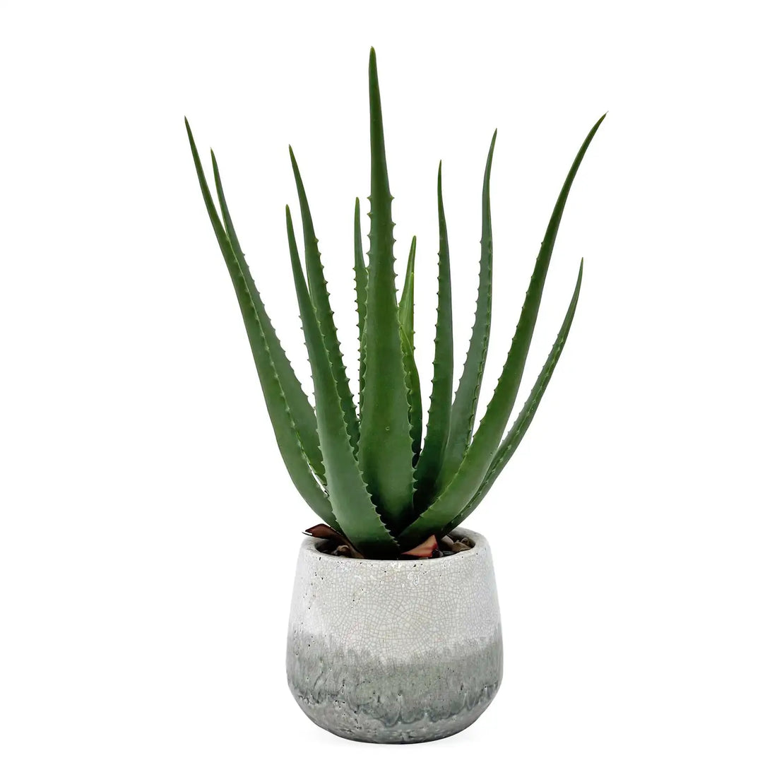 UTTERMOST Veranda Indoor-Outdoor Aloe Plant - Decorative Accents