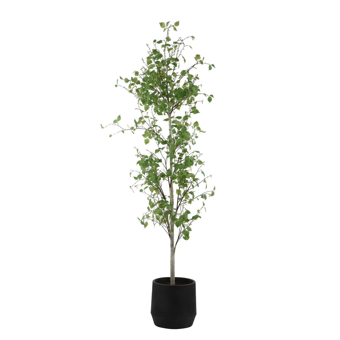 UTTERMOST BOREAL POTTED TREE - Decorative Accents