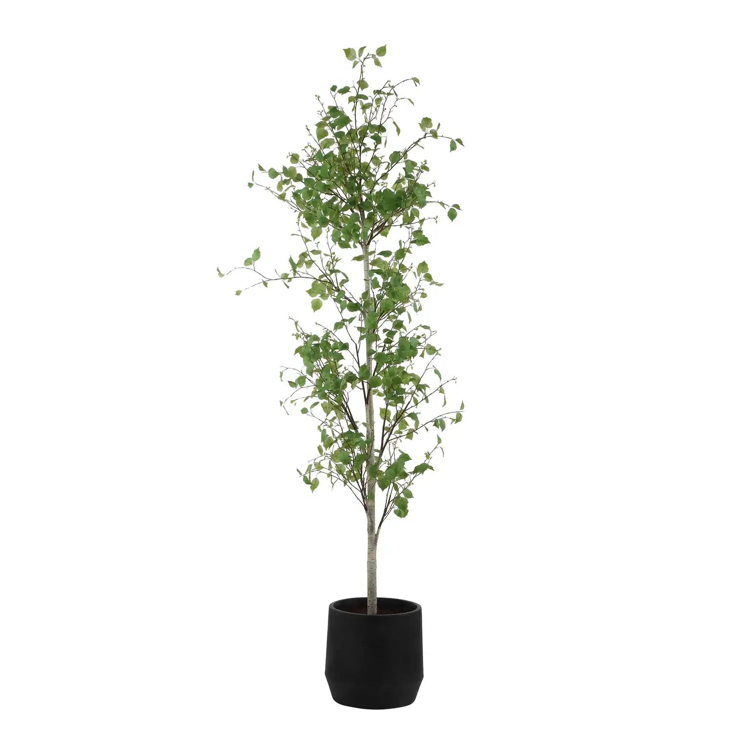 UTTERMOST BOREAL POTTED TREE - Decorative Accents