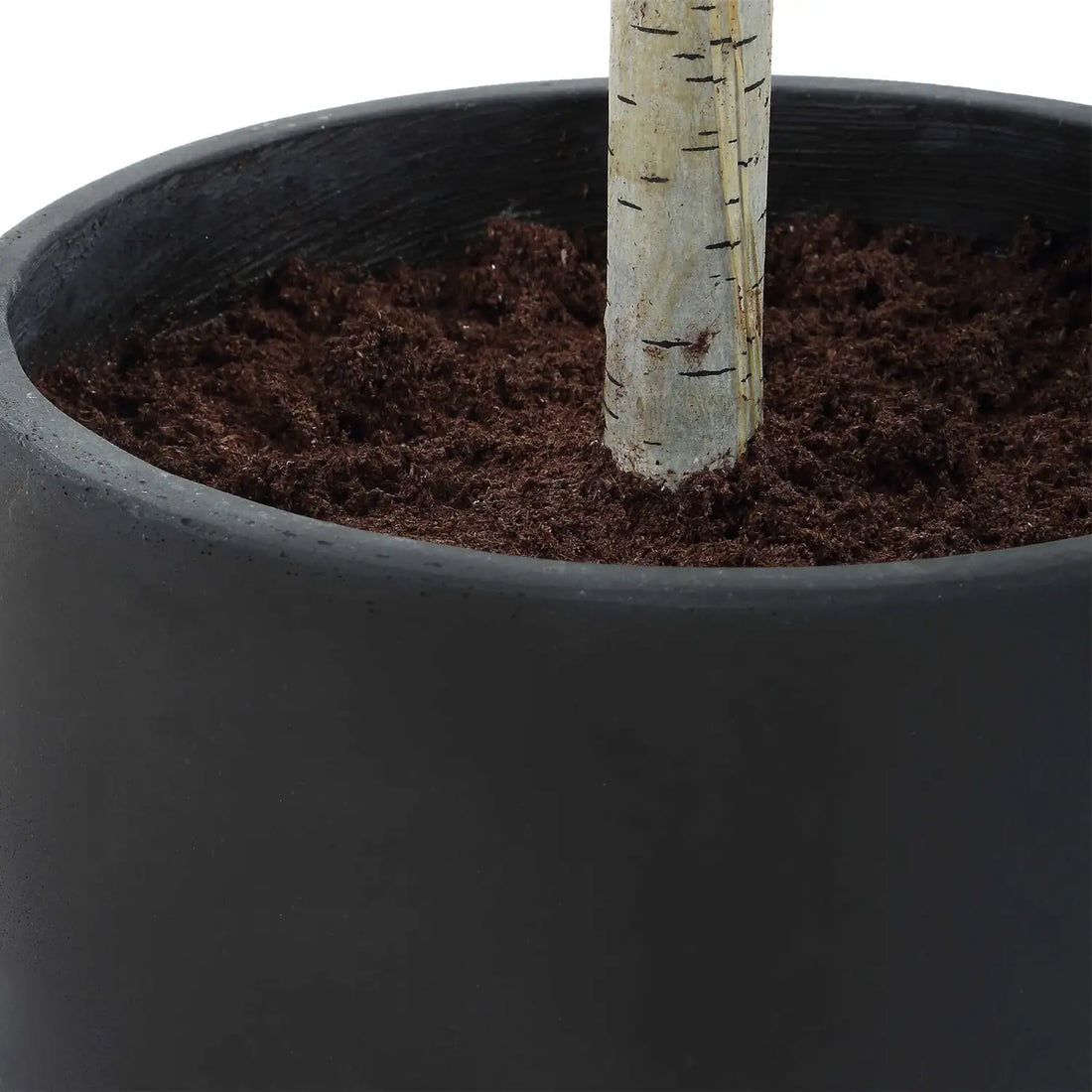 UTTERMOST Boreal Potted Tree - Decorative Accents