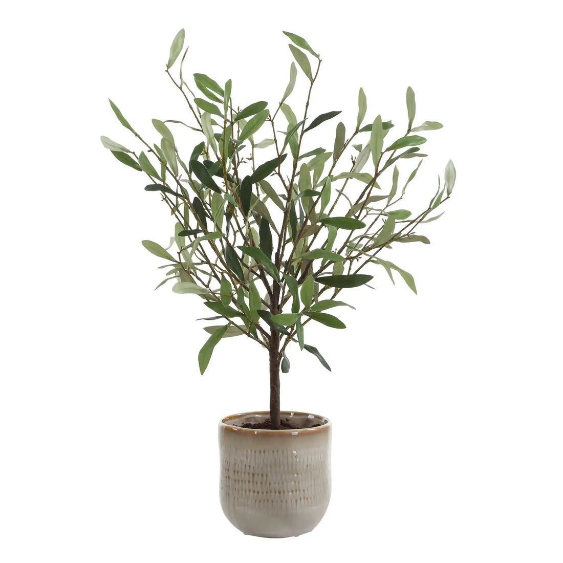 UTTERMOST SOLEA OLIVE ACCENT & VASE - Decorative Accents