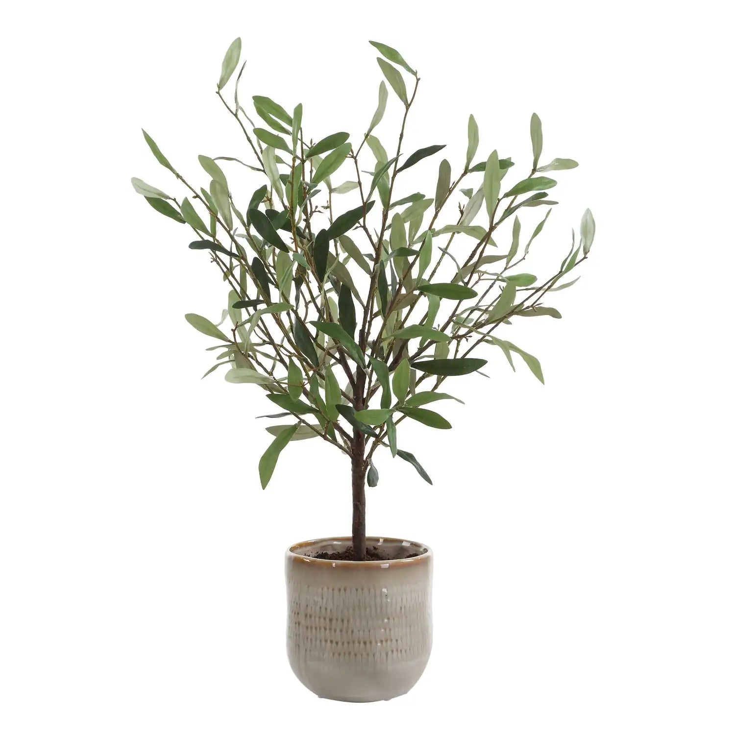 UTTERMOST SOLEA OLIVE ACCENT & VASE - Decorative Accents