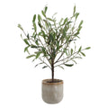 UTTERMOST SOLEA OLIVE ACCENT & VASE - Decorative Accents