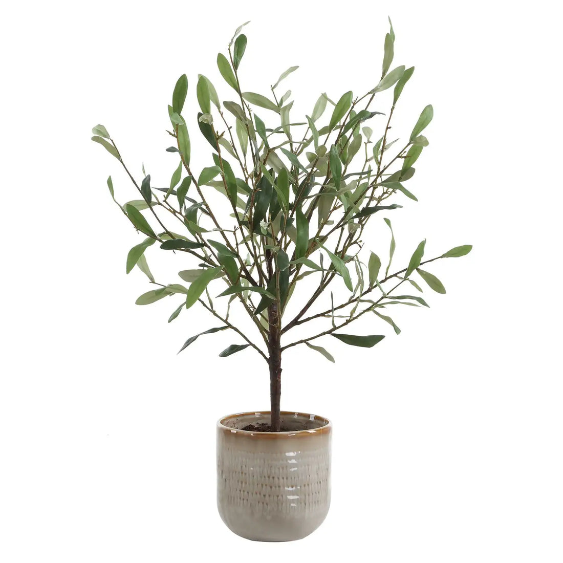 UTTERMOST Solea Olive Accent & Vase - Decorative Accents