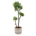UTTERMOST ARBOR STRAWBERRY TREE - Decorative Accents