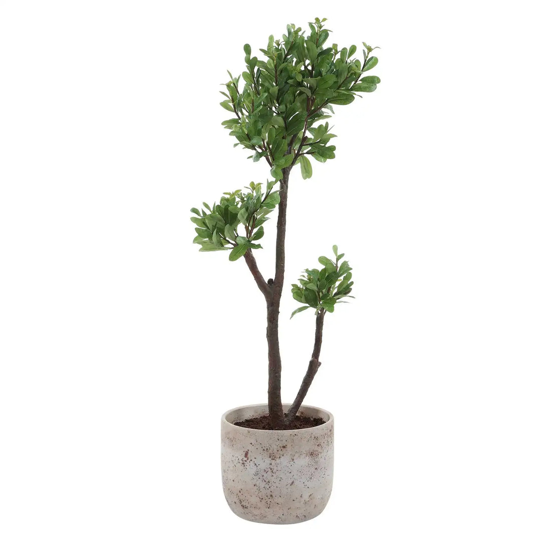 UTTERMOST Arbor Strawberry Tree - Decorative Accents