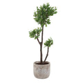 UTTERMOST Arbor Strawberry Tree - Decorative Accents