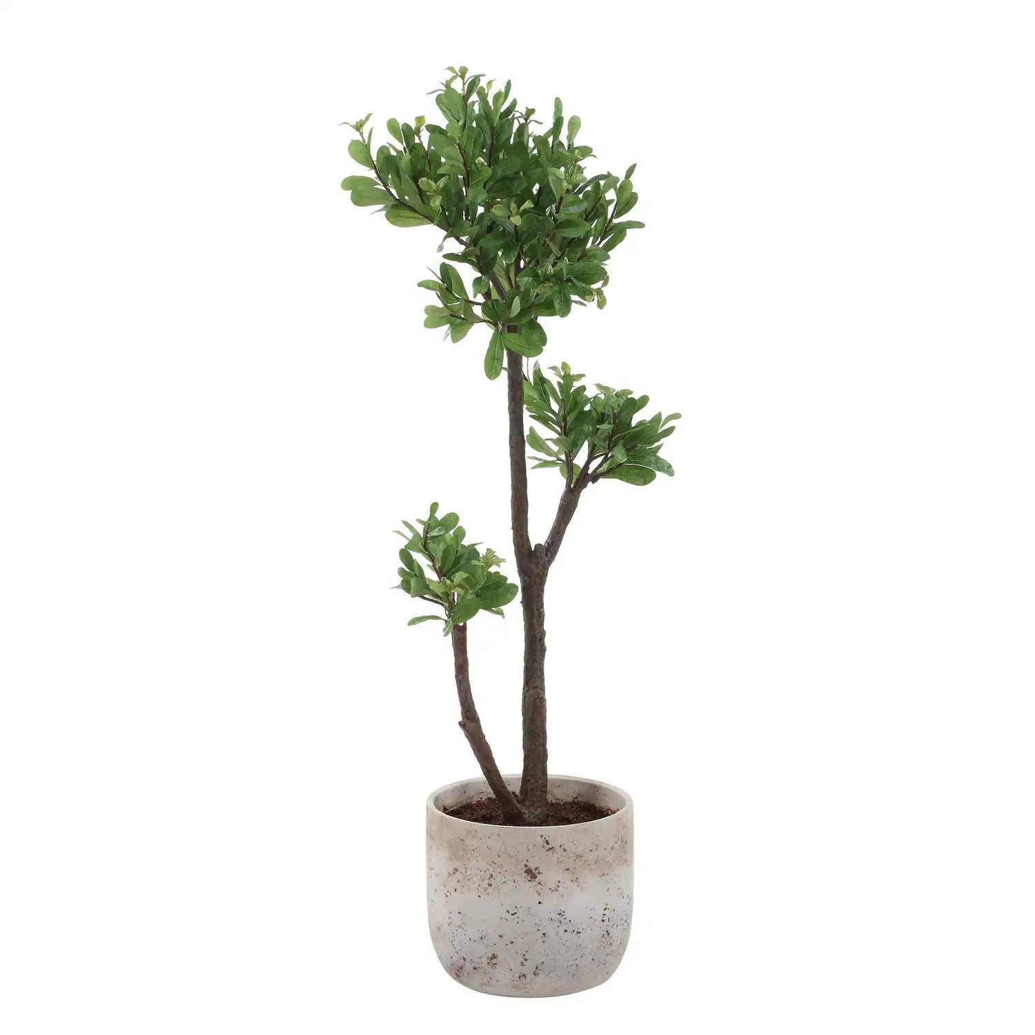 UTTERMOST ARBOR STRAWBERRY TREE - Decorative Accents