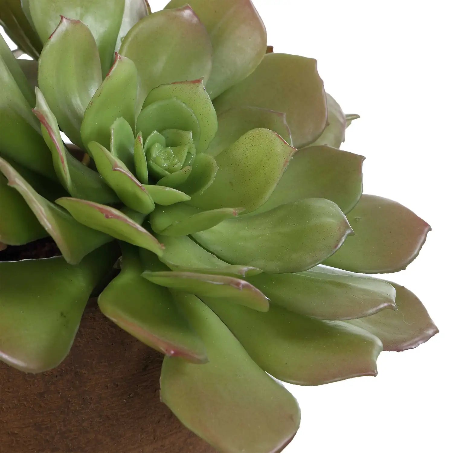 UTTERMOST SABLE SUCCULENT ACCENT - Decorative Accents