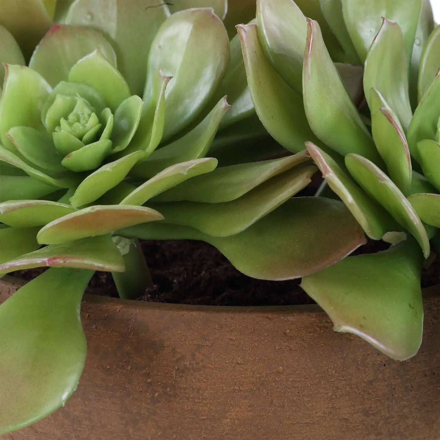 UTTERMOST Sable Succulent Accent - Decorative Accents