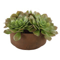 UTTERMOST SABLE SUCCULENT ACCENT - Decorative Accents