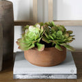 UTTERMOST SABLE SUCCULENT ACCENT - Decorative Accents