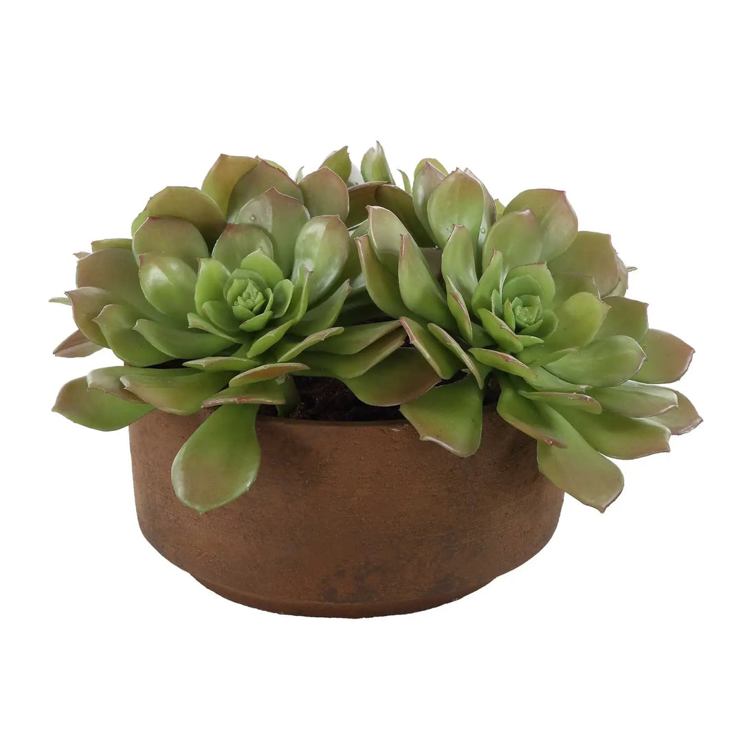 UTTERMOST Sable Succulent Accent - Decorative Accents
