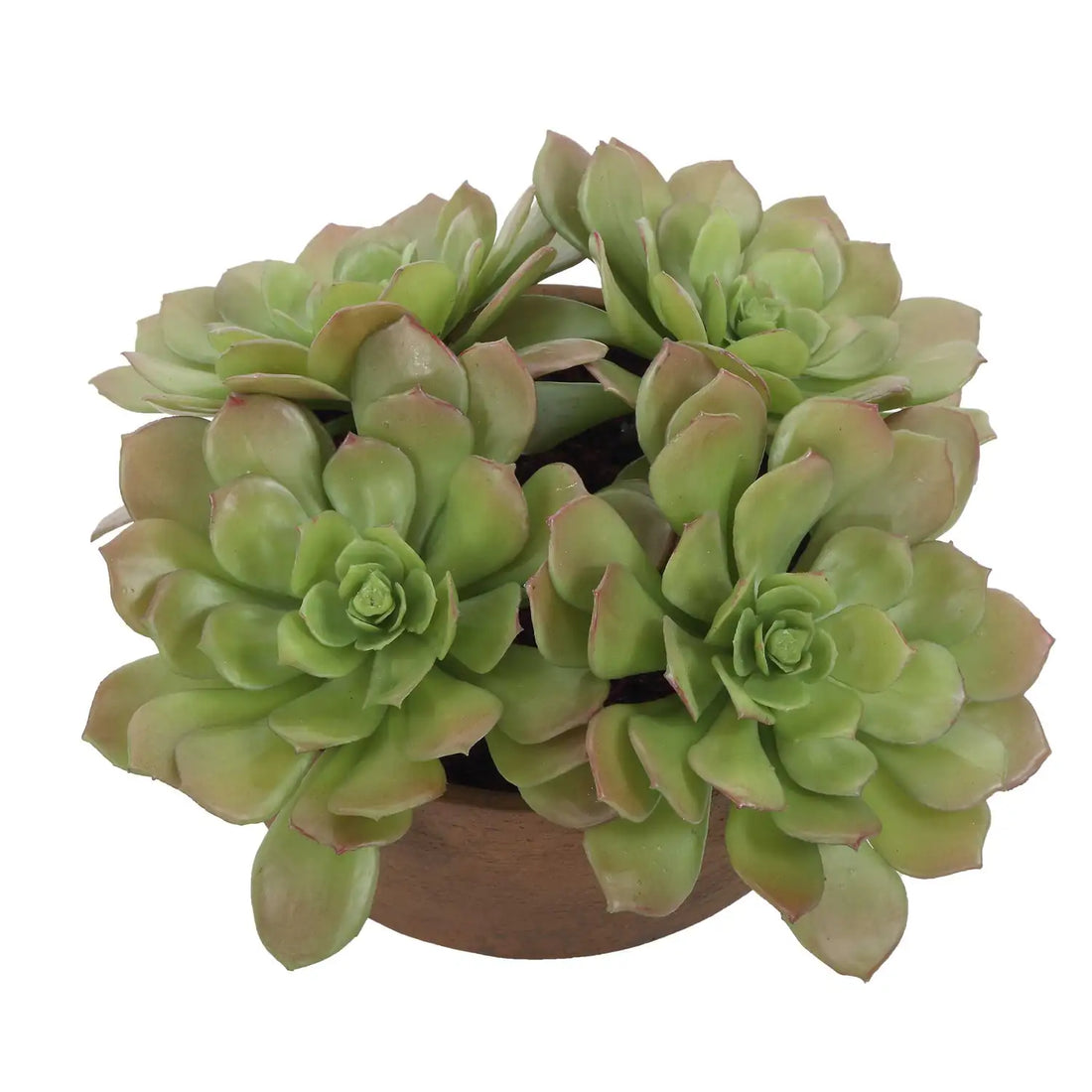 UTTERMOST Sable Succulent Accent - Decorative Accents