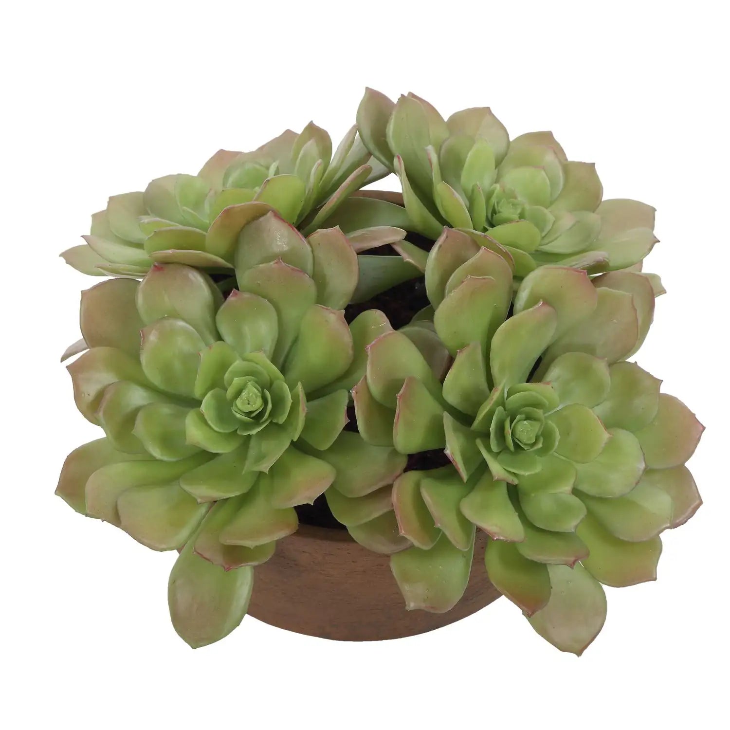 UTTERMOST Sable Succulent Accent - Decorative Accents