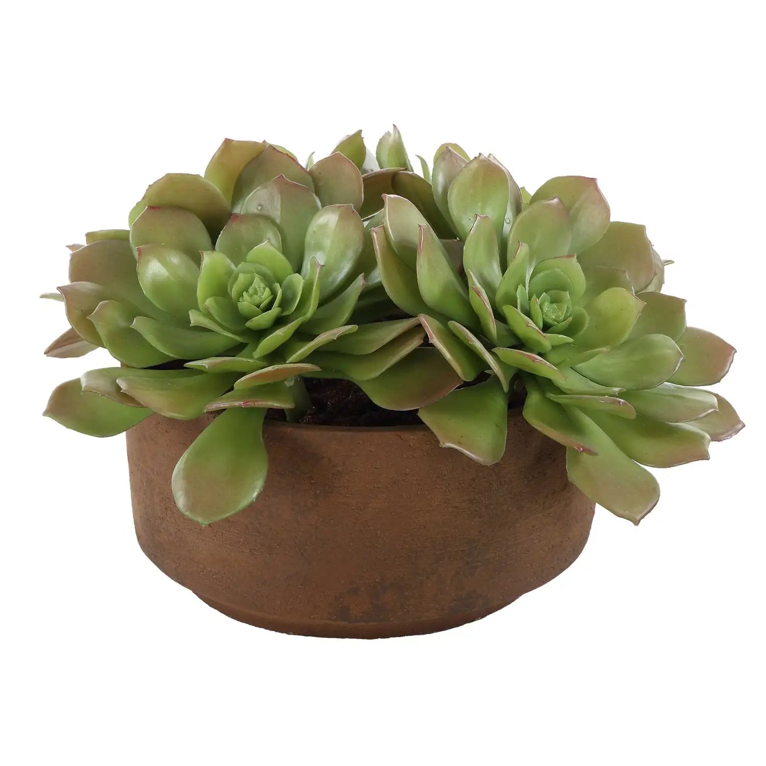 UTTERMOST Sable Succulent Accent - Decorative Accents