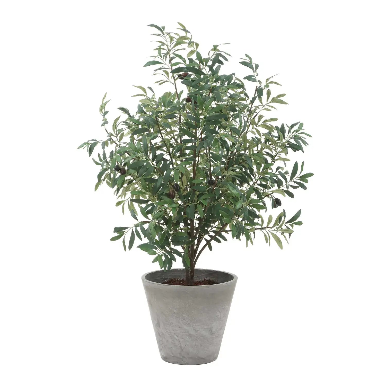 UTTERMOST MARISOL POTTED OLIVE PLANT - Decorative Accents