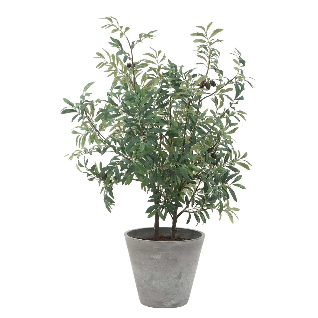 UTTERMOST Marisol Potted Olive Plant - Decorative Accents
