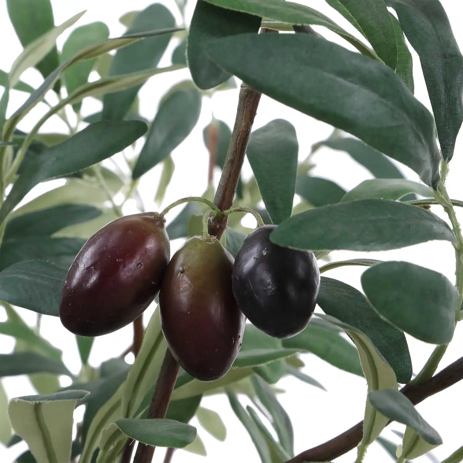 UTTERMOST Marisol Potted Olive Plant - Decorative Accents