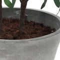 UTTERMOST MARISOL POTTED OLIVE PLANT - Decorative Accents