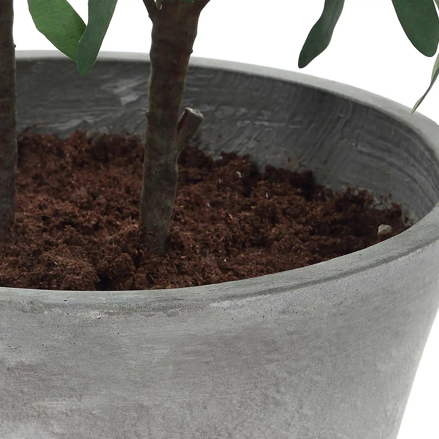 UTTERMOST MARISOL POTTED OLIVE PLANT - Decorative Accents