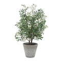 UTTERMOST MARISOL POTTED OLIVE PLANT - Decorative Accents