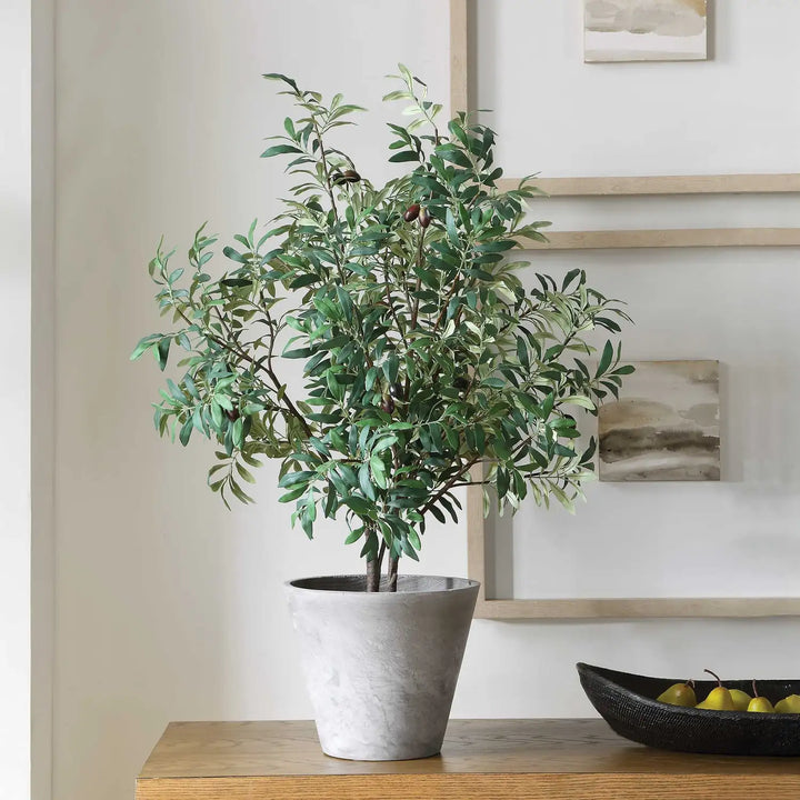 UTTERMOST MARISOL POTTED OLIVE PLANT - Decorative Accents