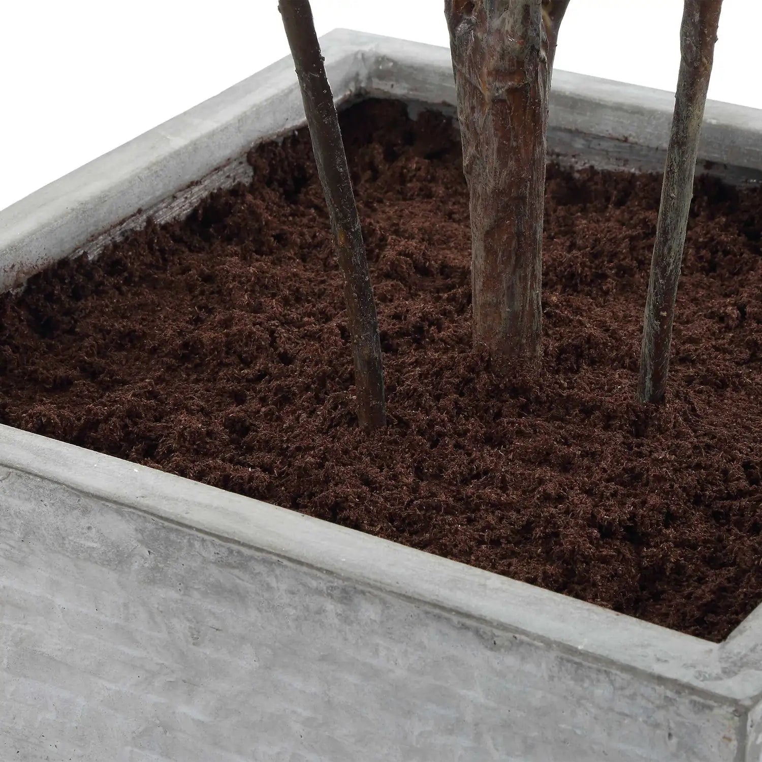 UTTERMOST Sonora Olive Tree - Decorative Accents