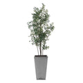 UTTERMOST SONORA OLIVE TREE - Decorative Accents