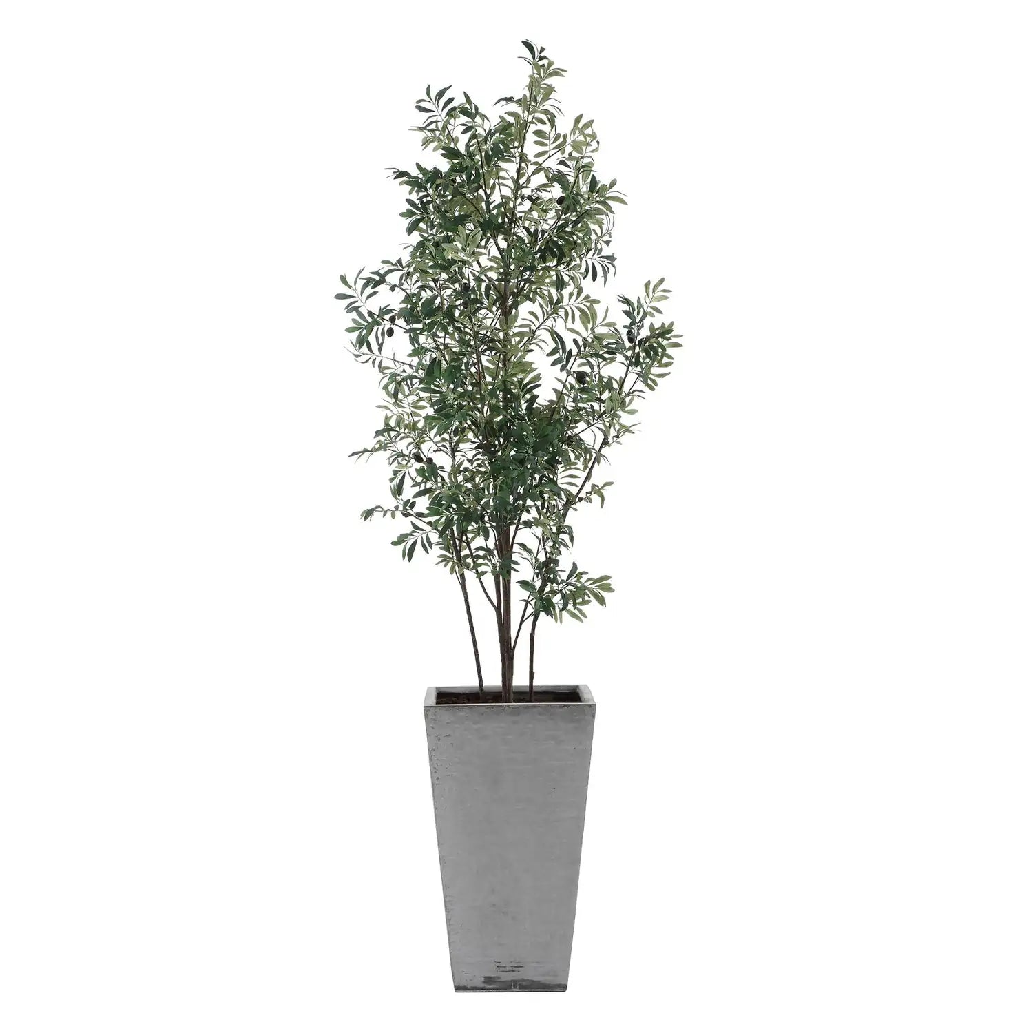 UTTERMOST SONORA OLIVE TREE - Decorative Accents