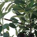 UTTERMOST SONORA OLIVE TREE - Decorative Accents
